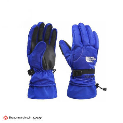 North Face mountaineering gloves