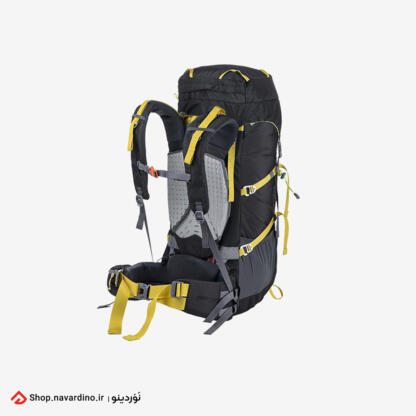 کوله پشتی نیچرهایک مدل 65L Professional Hiking