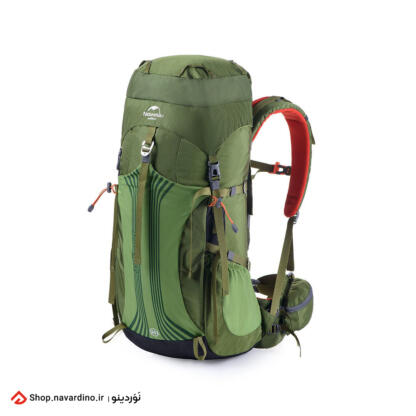 قیمت کوله پشتی کوه Naturehike NH16Y065-Q