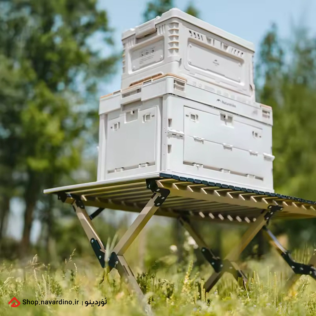 np1046 (2) میز تاشو نیچرهایک Simple Star T01